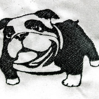 Englische Bulldogge Einfarbig