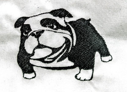 Englische Bulldogge Einfarbig